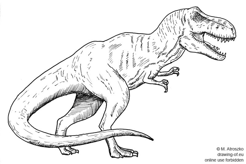 Tyrannosaurus dibujo