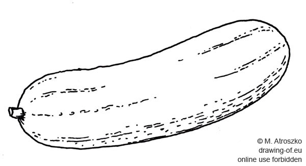 cucumber dibujo