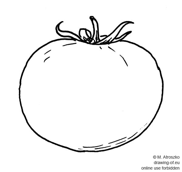 tomate dibujo