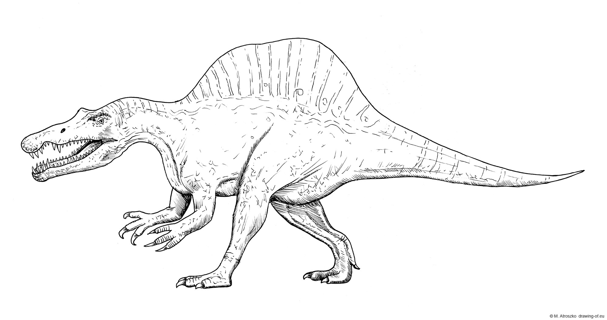 dibujo de spinosaurus