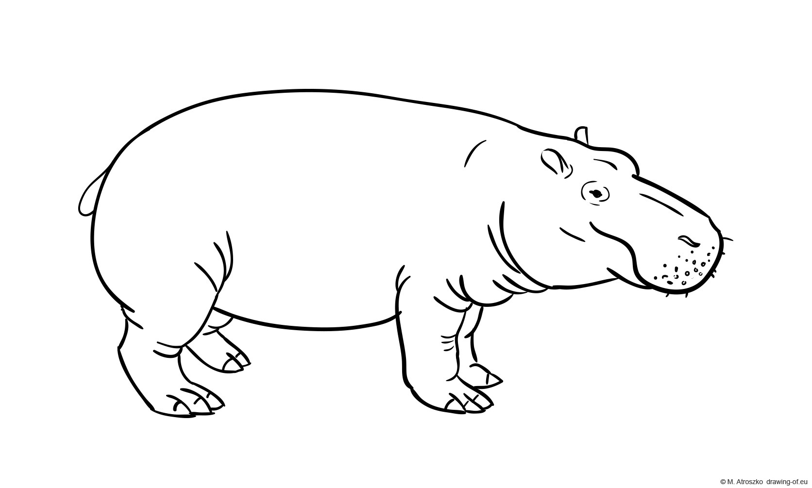 Dibujo de hippo